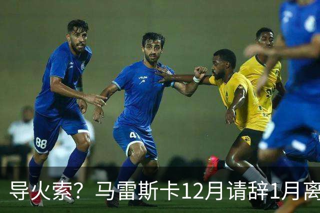 导火索？马雷斯卡12月请辞1月离任，蓝军12月仅2胜且最终赛季崩盘