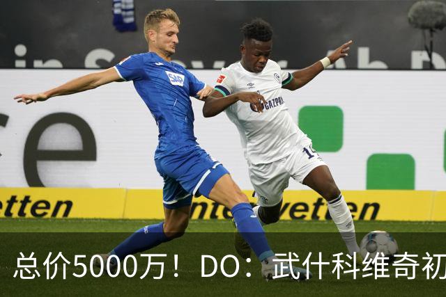 总价5000万！DO：武什科维奇初始转会费4600万镑，热刺有二转分成