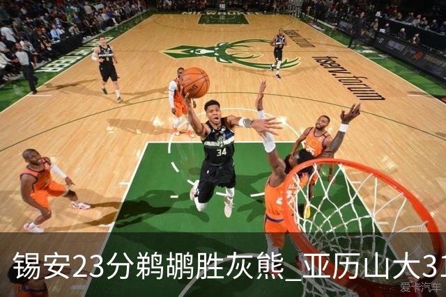 锡安23分鹈鹕胜灰熊 亚历山大31+10雷霆屠公牛